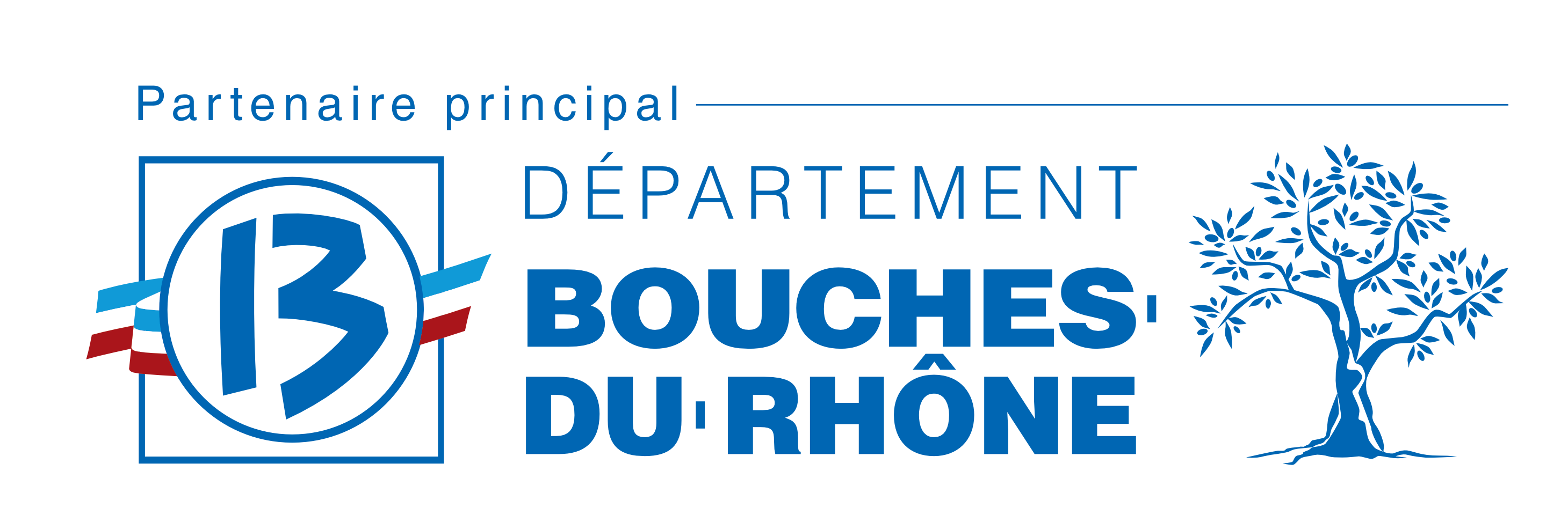 Conseil Départemental 13